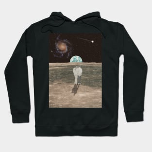 Fly me to earth Hoodie